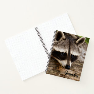 Raccoon mignon reposant sur un journal