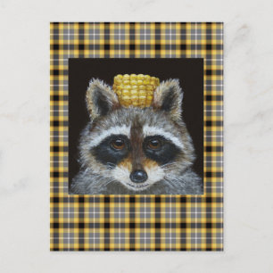 Raccoon sur carte postale plaid