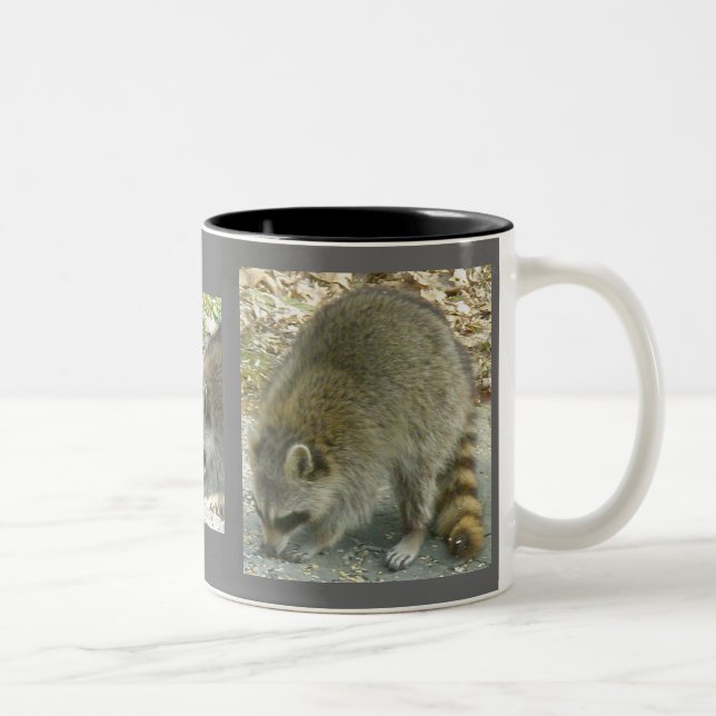 Raccoon sur Rock Mug (Droit)