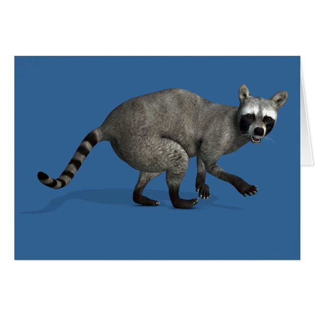 Raccoon surpris (Devant horizontal)