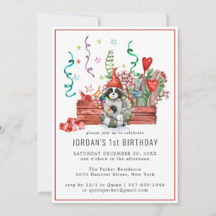 Raccos d'hiver   Invitation de la fête des bois