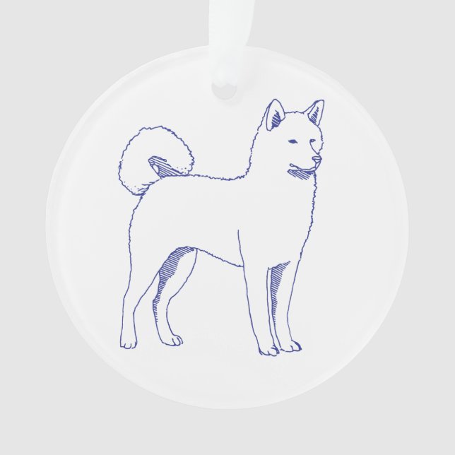 Race de chien Shiba Inu (devant)