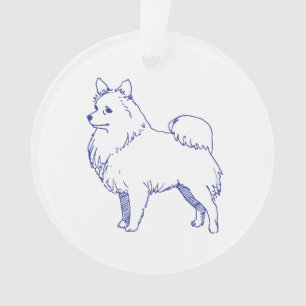 Race de chien Spitz