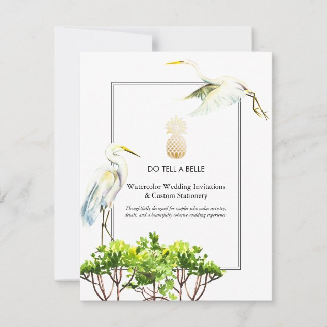 Racontez à une Belle Promo (Devant)