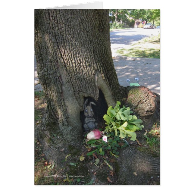 Radis Gifting (Devant)