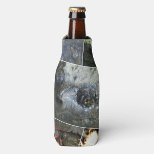 Rafraichisseur De Bouteilles Collage de tortue