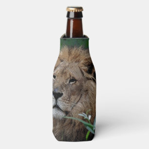 Rafraichisseur De Bouteilles Lion20150805