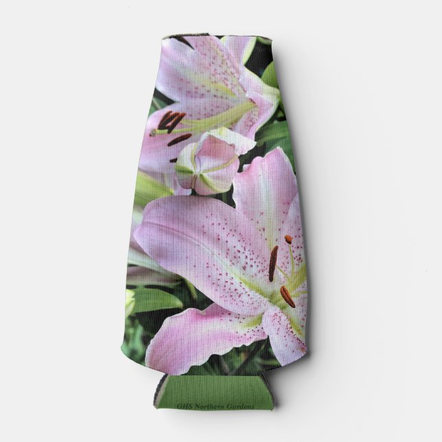 Rafraichisseur De Bouteilles Lys à bulbes asiatiques pintes (Devant)