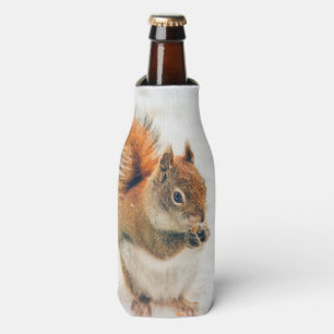 Rafraichisseur De Bouteilles Petit écureuil mignon mangeant des écrous