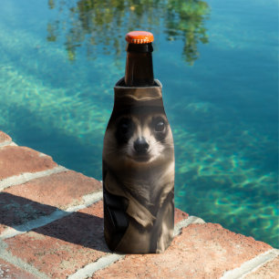 Rafraichisseur De Bouteilles Saluer Silvester la suricate : l'histoire d'un vét
