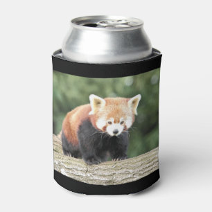 Rafraichisseur De Cannettes Can Cooler Photo panda rouge, animaux 0001.