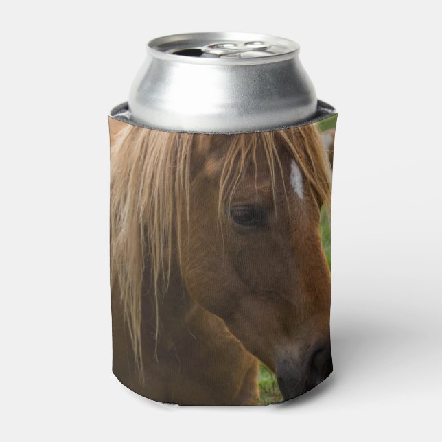 Rafraichisseur De Cannettes Cheval Bonjour (Can devant)