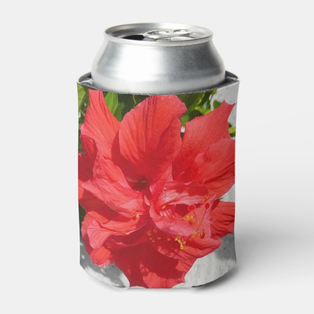 Rafraichisseur De Cannettes Fleur double hibiscus rouge (Can devant)