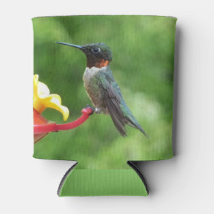 Rafraichisseur De Cannettes Photographie d'oiseau de colibri à gorge rubis