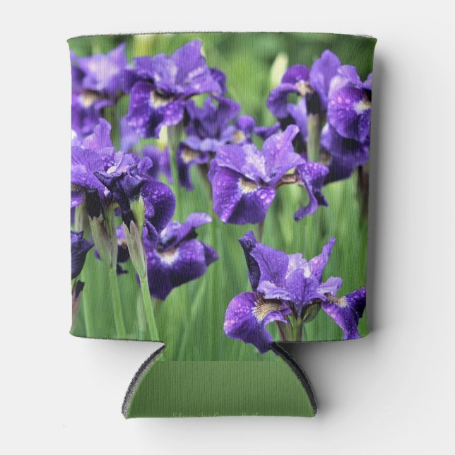 Rafraichisseur De Cannettes Violet Sibérien Iris, frère de César (Devant)