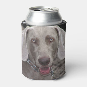 Rafraichisseur De Cannettes Weimaraner