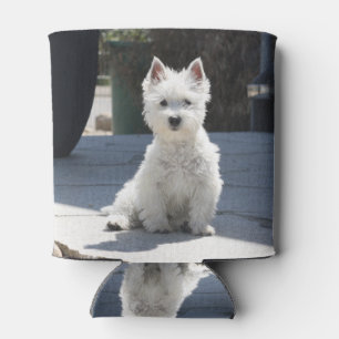 Rafraichisseur De Cannettes White West Highland Terrier assis sur le trottoir