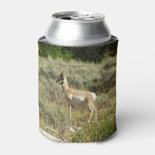 Rafraîchisseur Pour Canette Antilocapre dans le parc national de Grand Teton