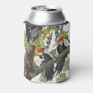 Rafraîchisseur Pour Canette Art vintage d'oiseau pic à tête rouge d'Audubon