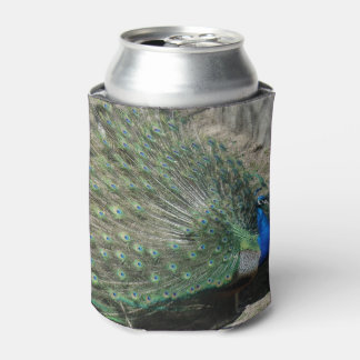 Rafraîchisseur Pour Canette Beau Peacock