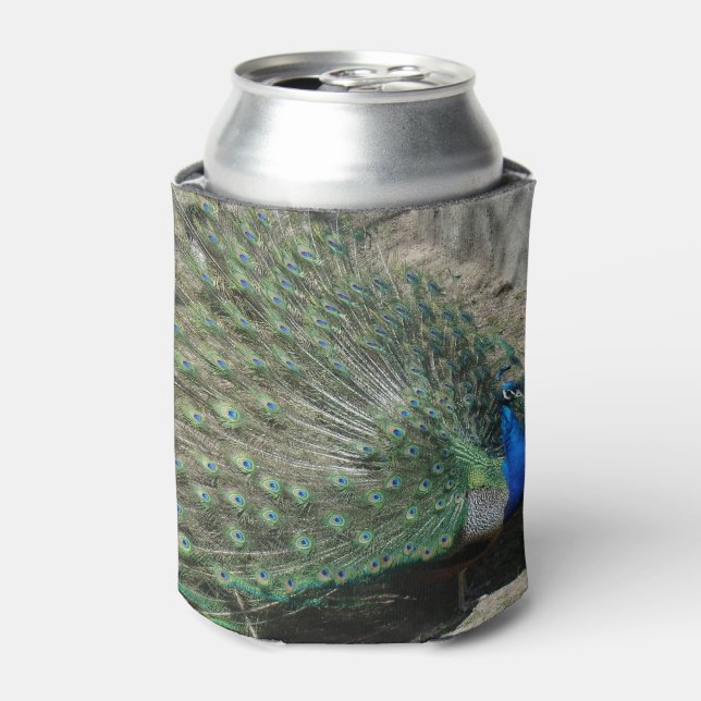 Rafraîchisseur Pour Canette Beau Peacock (Can devant)