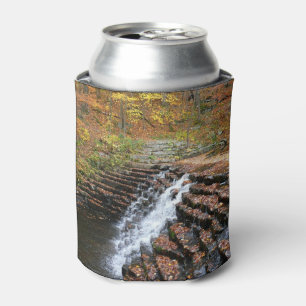 Rafraîchisseur Pour Canette Cascade du parc d'état Laurel Hill State Park II