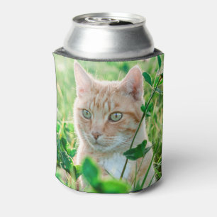 Rafraîchisseur Pour Canette Chat de gingembre avec yeux verts en herbe