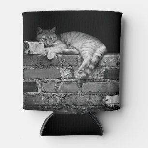 Rafraîchisseur Pour Canette Chat sur mur de brique