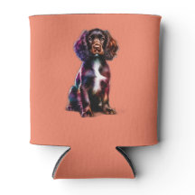Chien espagnol Boykin