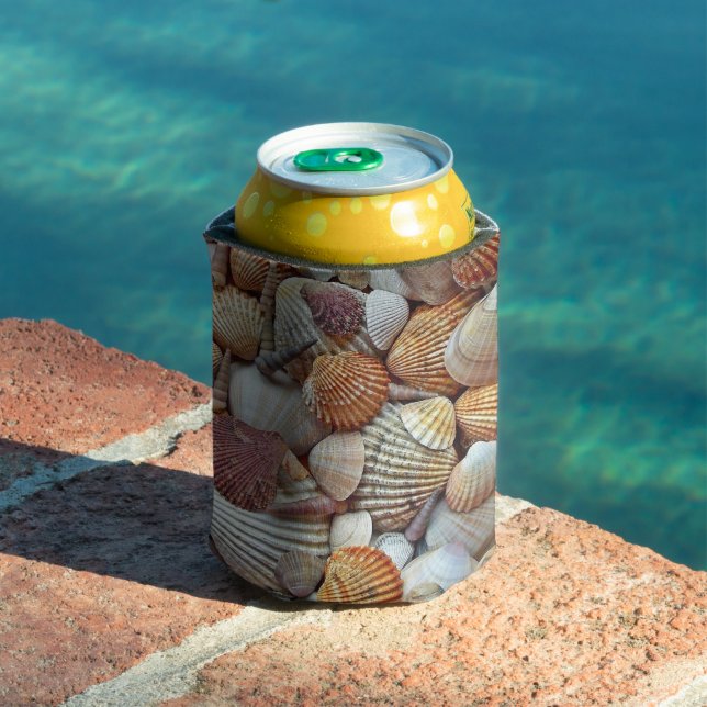 Rafraîchisseur Pour Canette Coques de mer (Piscine in situ)