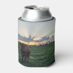 Rafraîchisseur Pour Canette Coucher de soleil dans une ferme bovine