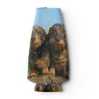 Deux mignons Chiens Dachshund Dackel Photo Amusant