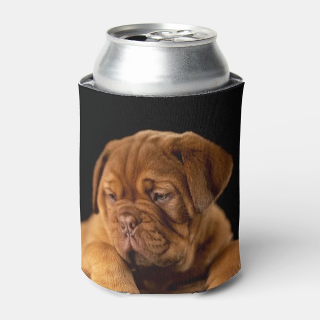 Rafraîchisseur Pour Canette Dogue de bordeaux - Mastiff (Can devant)
