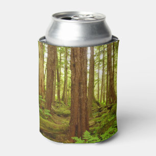 Rafraîchisseur Pour Canette Forêt pluviale tempérée de l'Alaska
