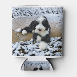 RAFRAÎCHISSEUR POUR CANETTE IMG_9916