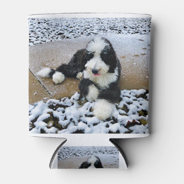 RAFRAÎCHISSEUR  POUR CANETTE IMG_9916 (Devant)