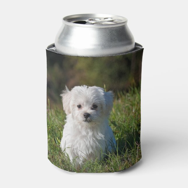 Rafraîchisseur Pour Canette Joli chiot blanc (Can devant)