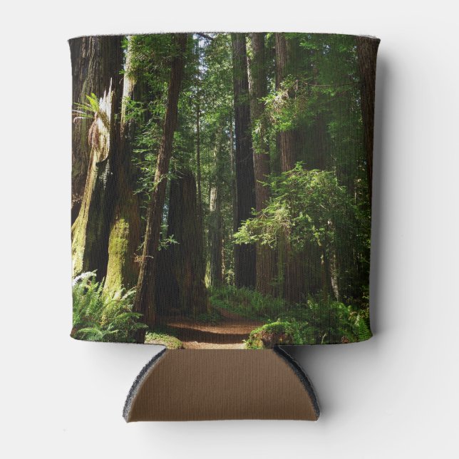 Rafraîchisseur Pour Canette Les séquoias et les fougères du parc national Redw (Devant)