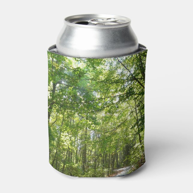 Rafraîchisseur Pour Canette Lumière du soleil sur le chemin en bois au Centenn (Can devant)