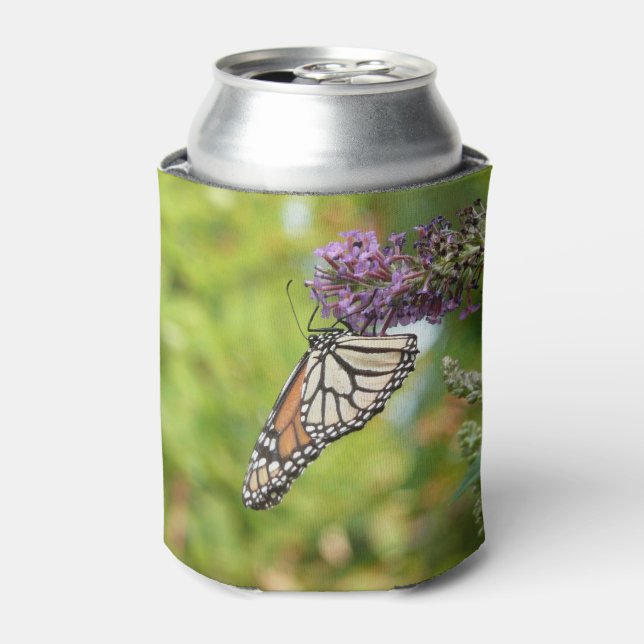 Rafraîchisseur Pour Canette Monarque sur Buddleia (Can devant)