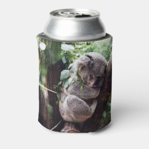 Rafraîchisseur Pour Canette Ours de koala mignon détendant dans un arbre