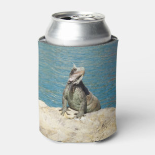 Rafraîchisseur Pour Canette Photographie de la faune tropicale Iguana à St. Th