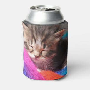 Rafraîchisseur Pour Canette Photographie de petit chaton nouveau-né endormi et
