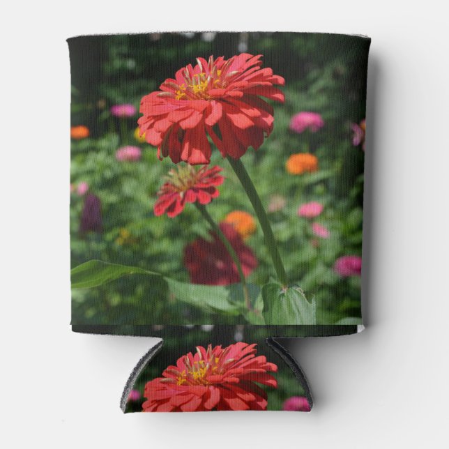 Rafraîchisseur Pour Canette red orange daisy floral, red flower garden (Devant)