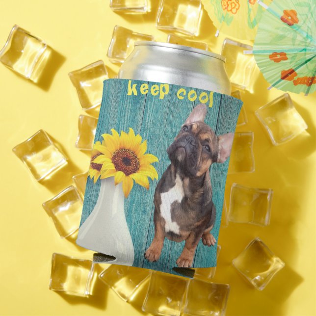 Rafraîchisseur Pour Canette Refroidisseur de boîtes de conserve (Été in situ)