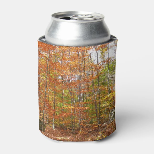 Rafraîchisseur Pour Canette Sentier de l'automne de la lumière du soleil au pa (Can devant)