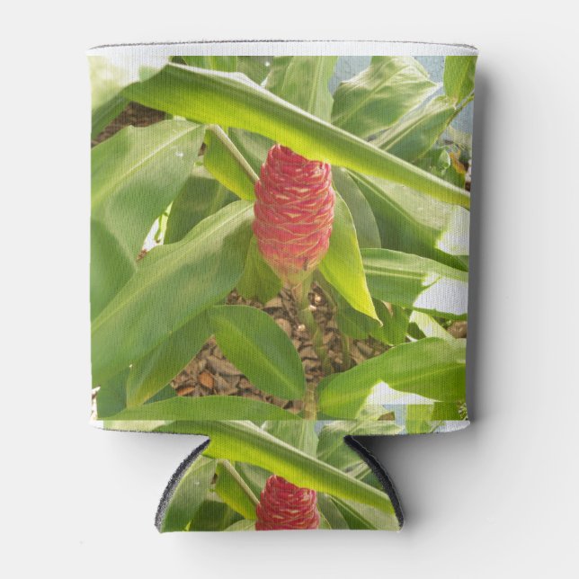 Rafraîchisseur Pour Canette Shampooing Fleur de gingembre (Devant)