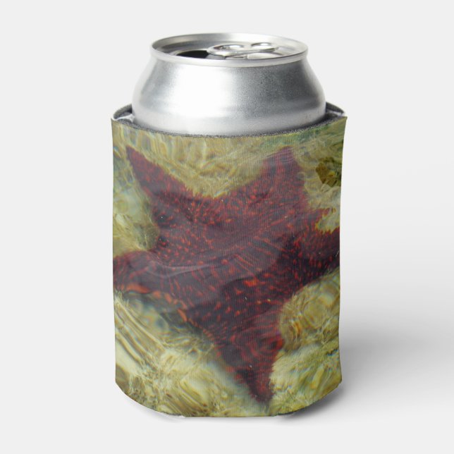 Rafraîchisseur Pour Canette Underwater Starfish in the Bahamas (Can devant)