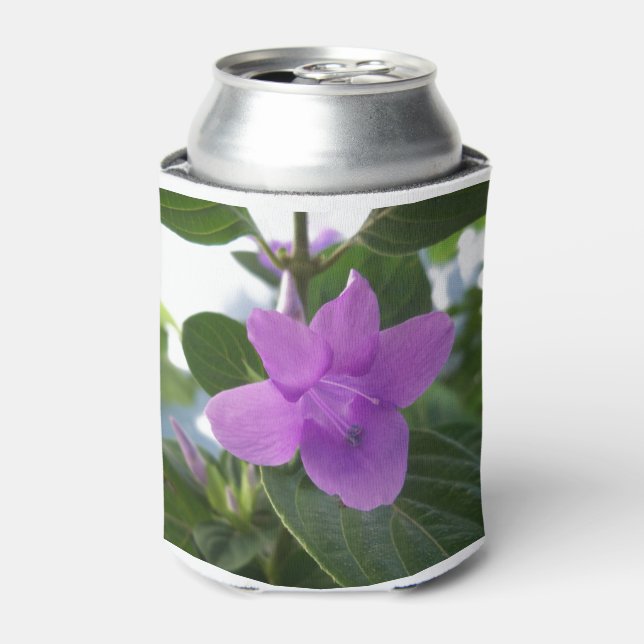 Rafraîchisseur Pour Canette Violet pourpre philippin (Can devant)