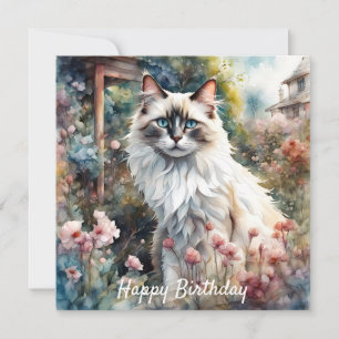 Ragdoll Chat en anglais Jardin Anniversaire